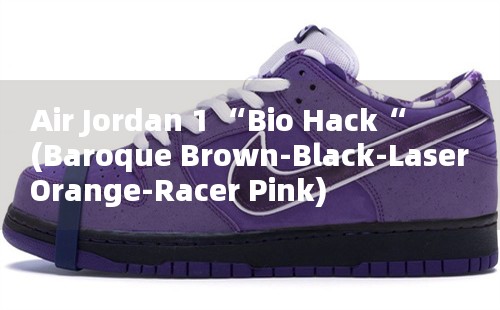 Air Jordan 1 “Bio Hack“ (Baroque Brown-Black-Laser Orange-Racer Pink)