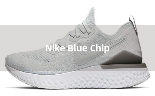 Nike Blue Chip
