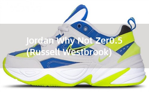 Jordan Why Not Zer0.5 (Russell Westbrook)