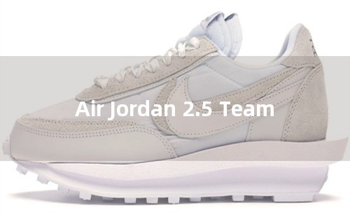Air Jordan 2.5 Team